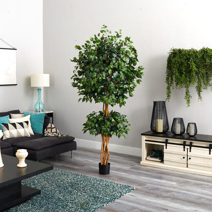 6ft. Double Ball Ficus Silk Tree