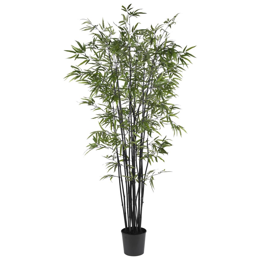 6.5ft. Black Bamboo Silk Tree