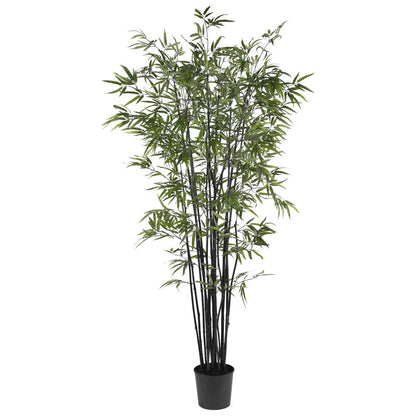 6.5ft. Black Bamboo Silk Tree