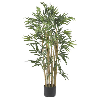 3ft. Multi Bambusa Bamboo Silk Tree
