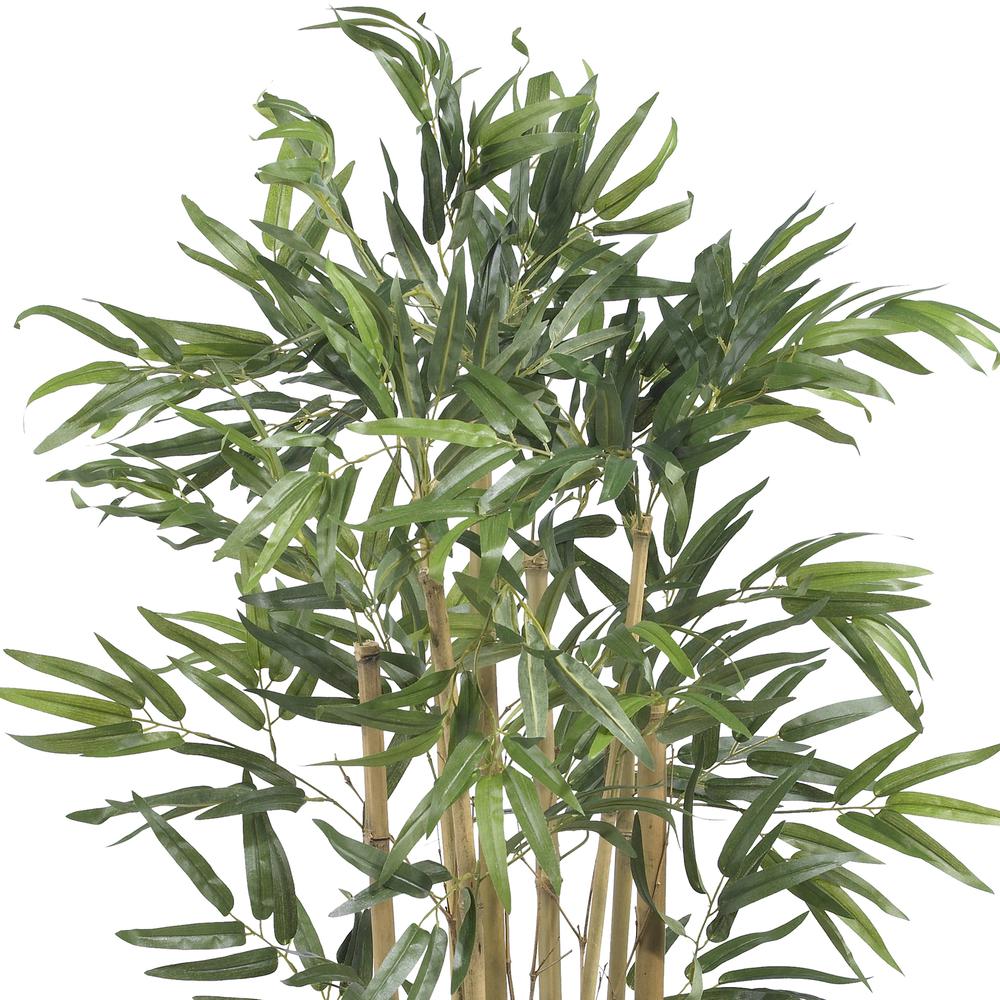 3ft. Multi Bambusa Bamboo Silk Tree