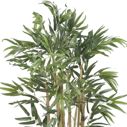 3ft. Multi Bambusa Bamboo Silk Tree