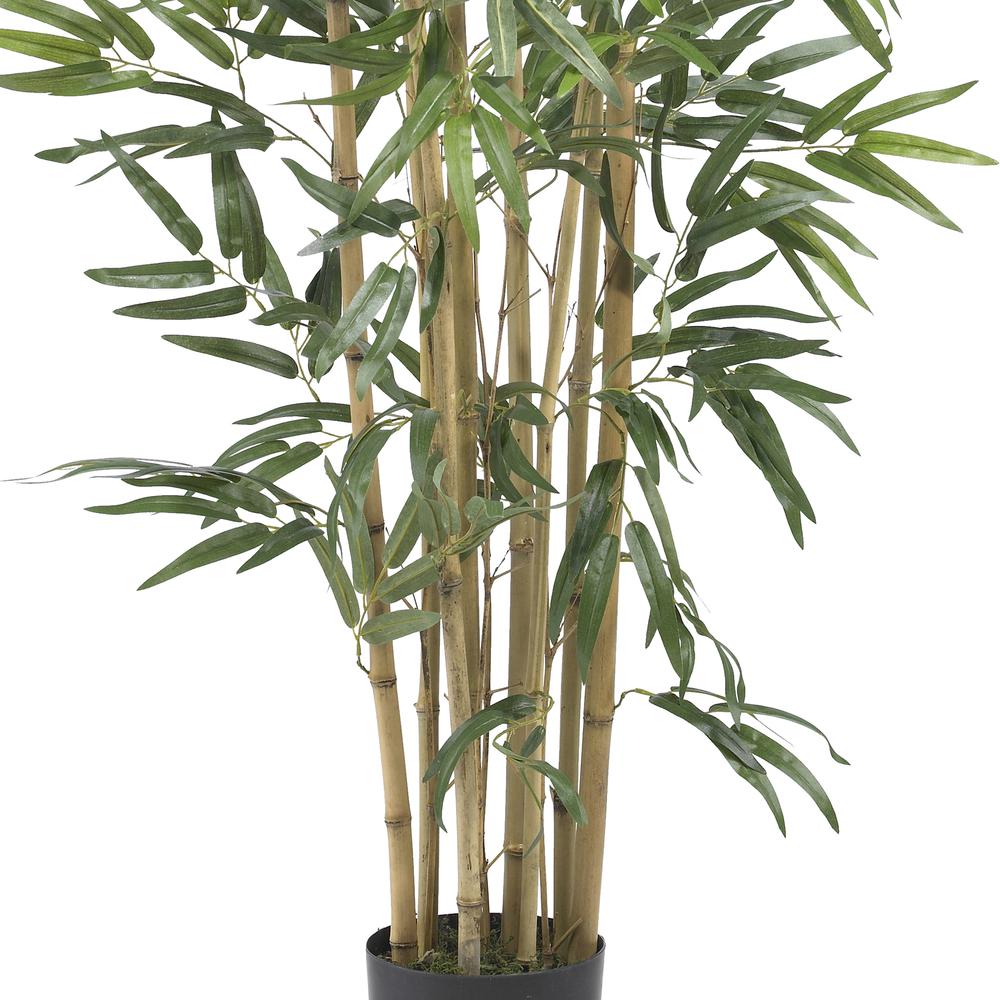 3ft. Multi Bambusa Bamboo Silk Tree