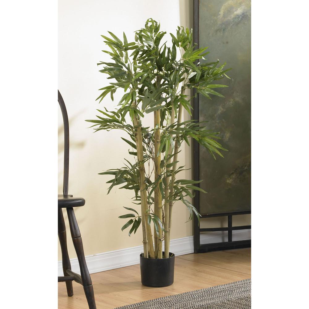 3ft. Multi Bambusa Bamboo Silk Tree