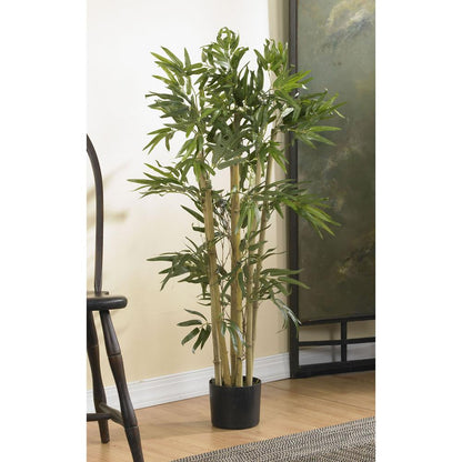 3ft. Multi Bambusa Bamboo Silk Tree