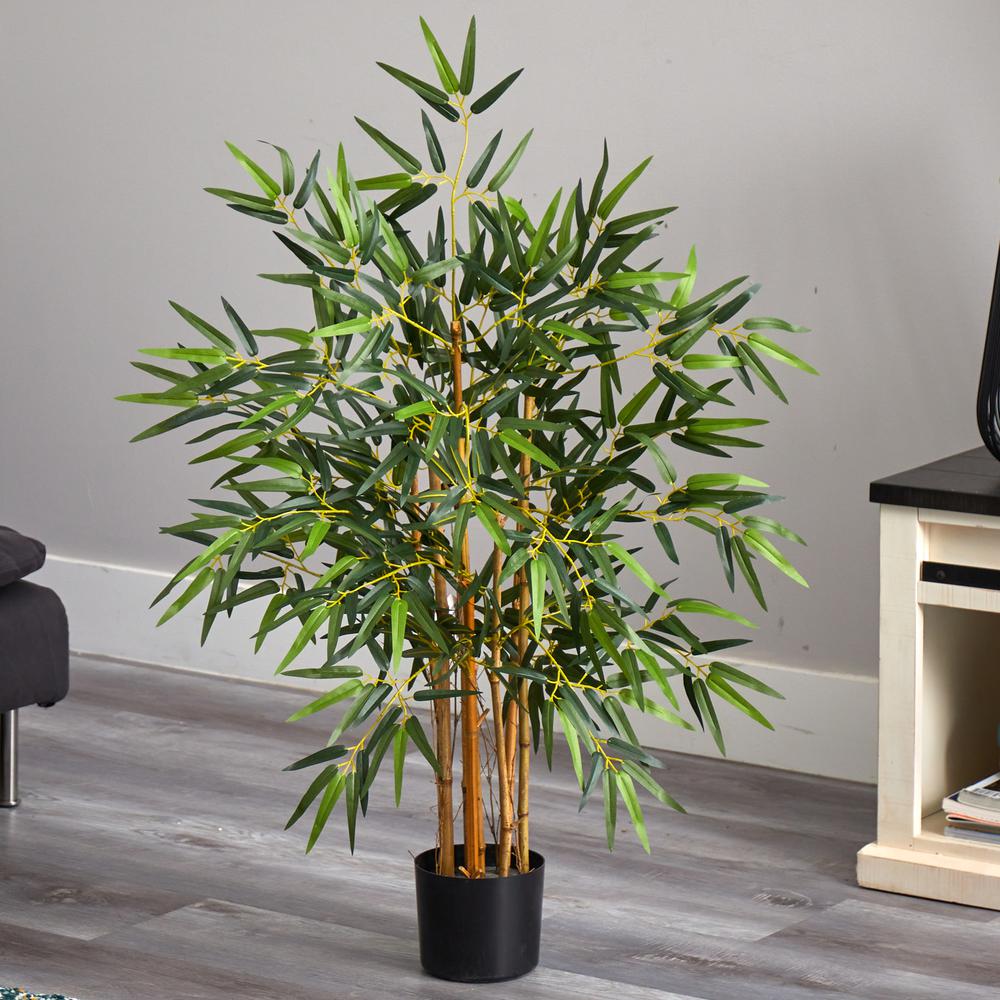 3ft. Multi Bambusa Bamboo Silk Tree