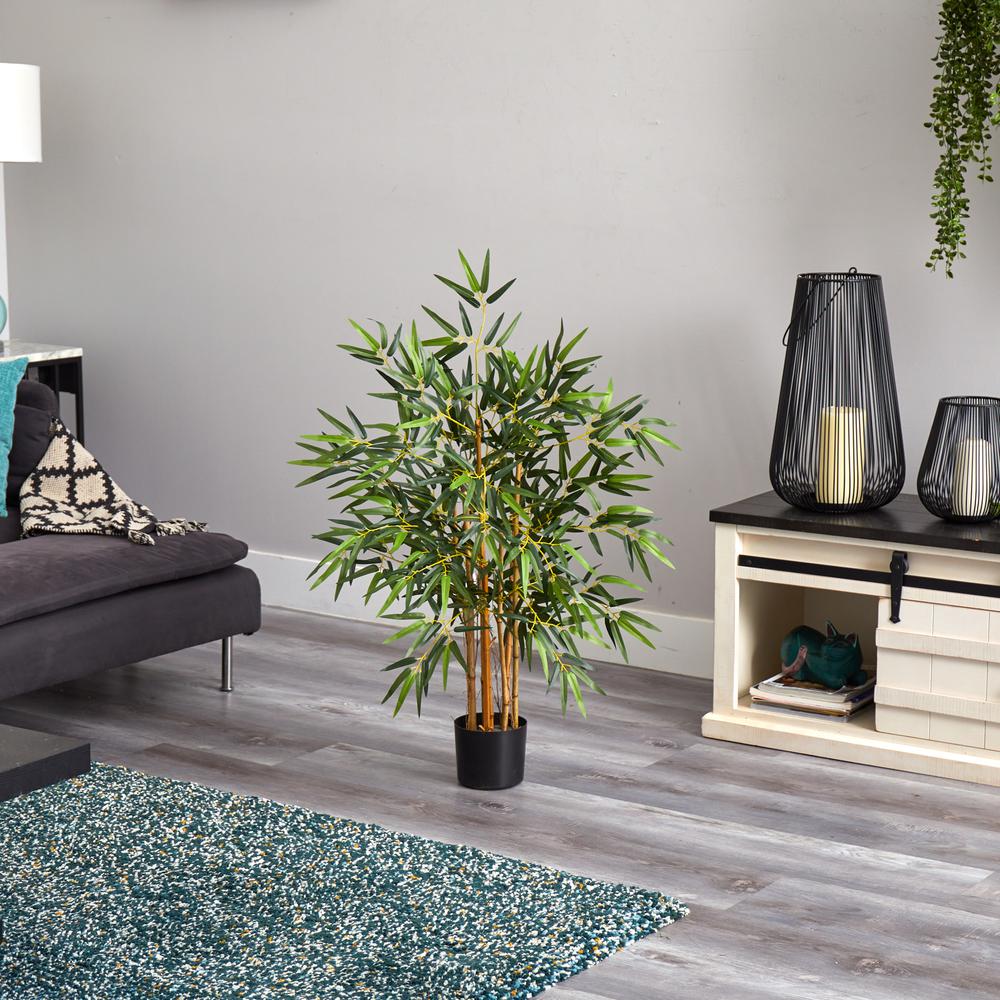 3ft. Multi Bambusa Bamboo Silk Tree