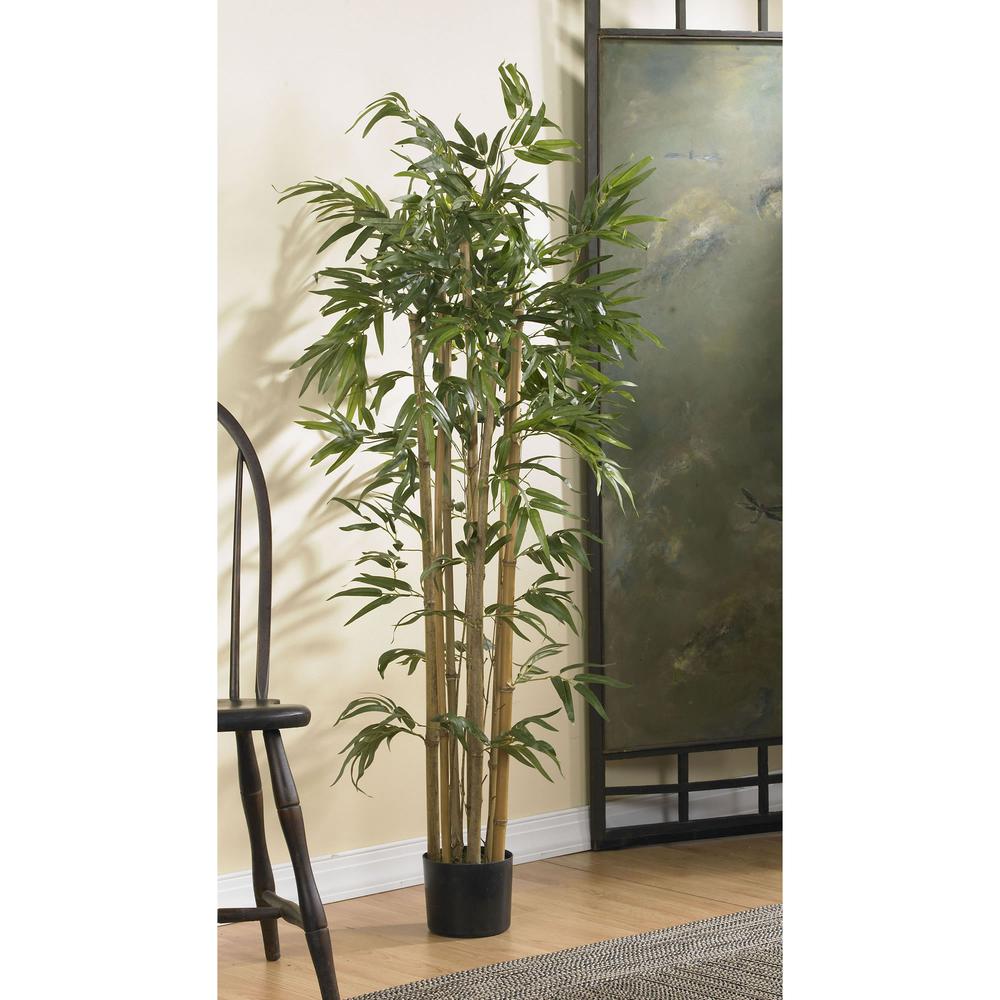 4ft. Multi Bambusa Bamboo Silk Tree
