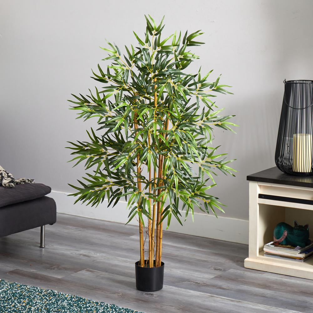 4ft. Multi Bambusa Bamboo Silk Tree