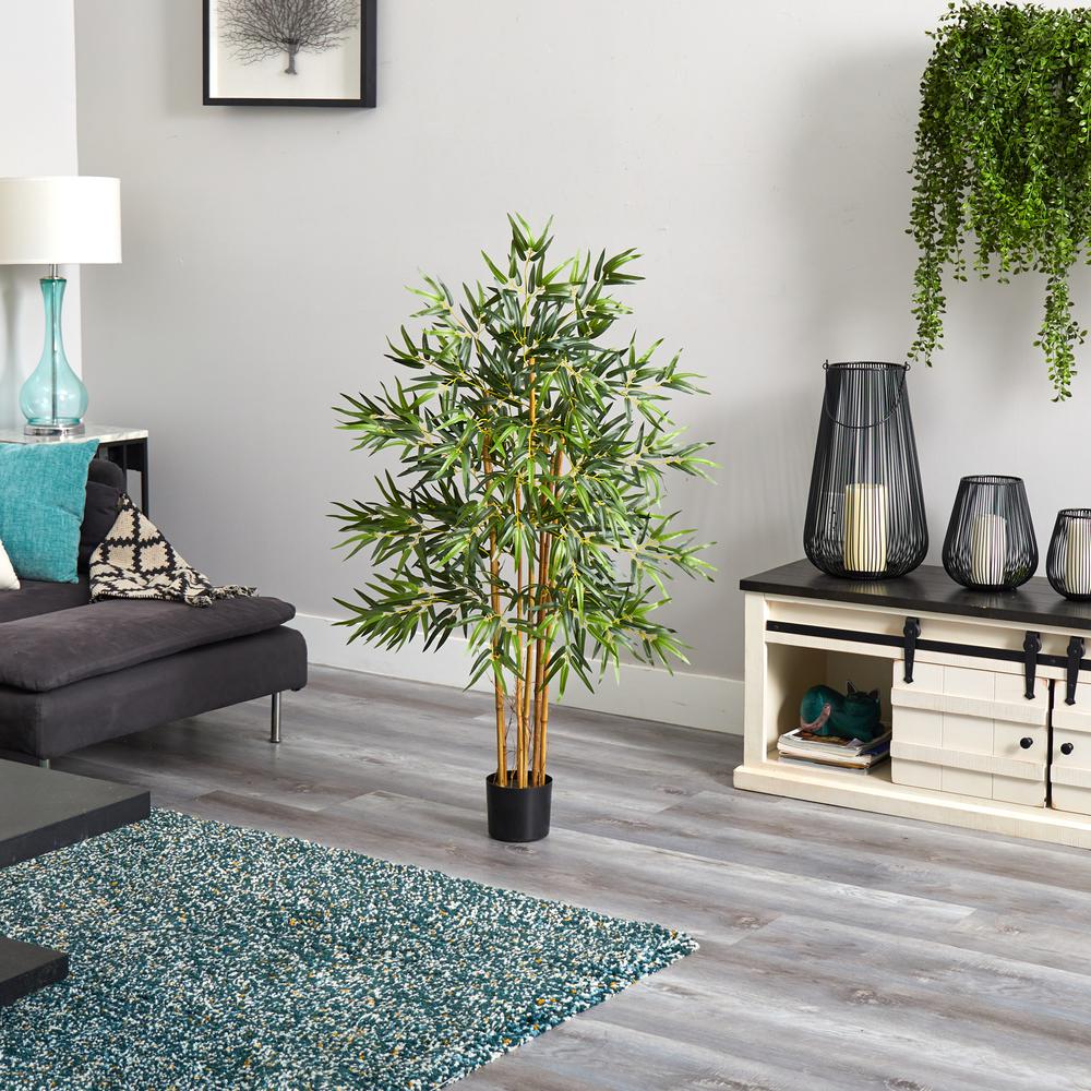 4ft. Multi Bambusa Bamboo Silk Tree