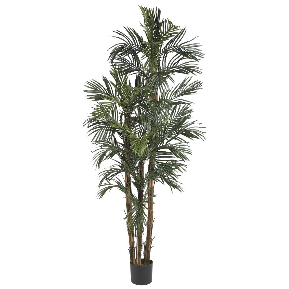 6ft. Robellini Palm Silk Tree
