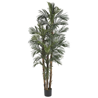 6ft. Robellini Palm Silk Tree