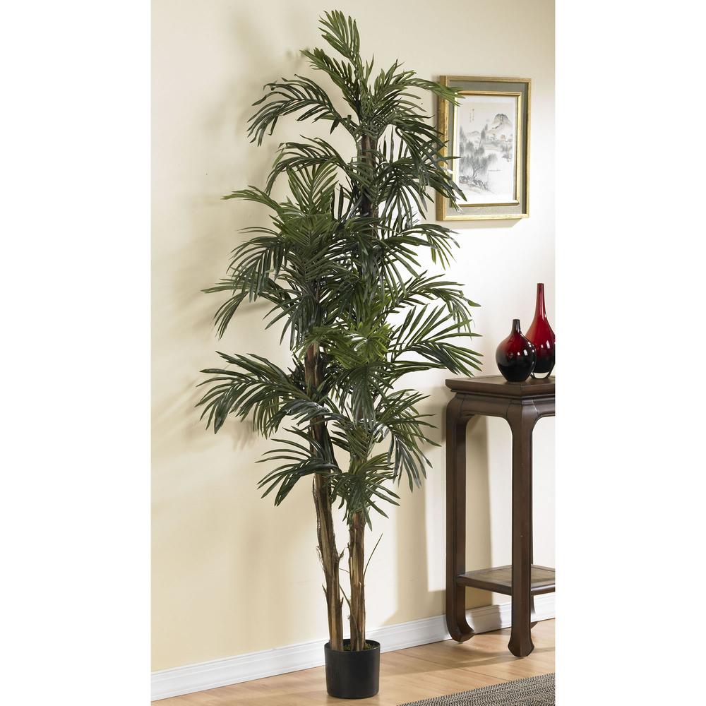 6ft. Robellini Palm Silk Tree