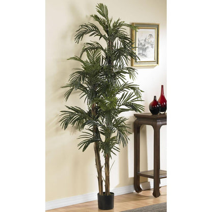 6ft. Robellini Palm Silk Tree
