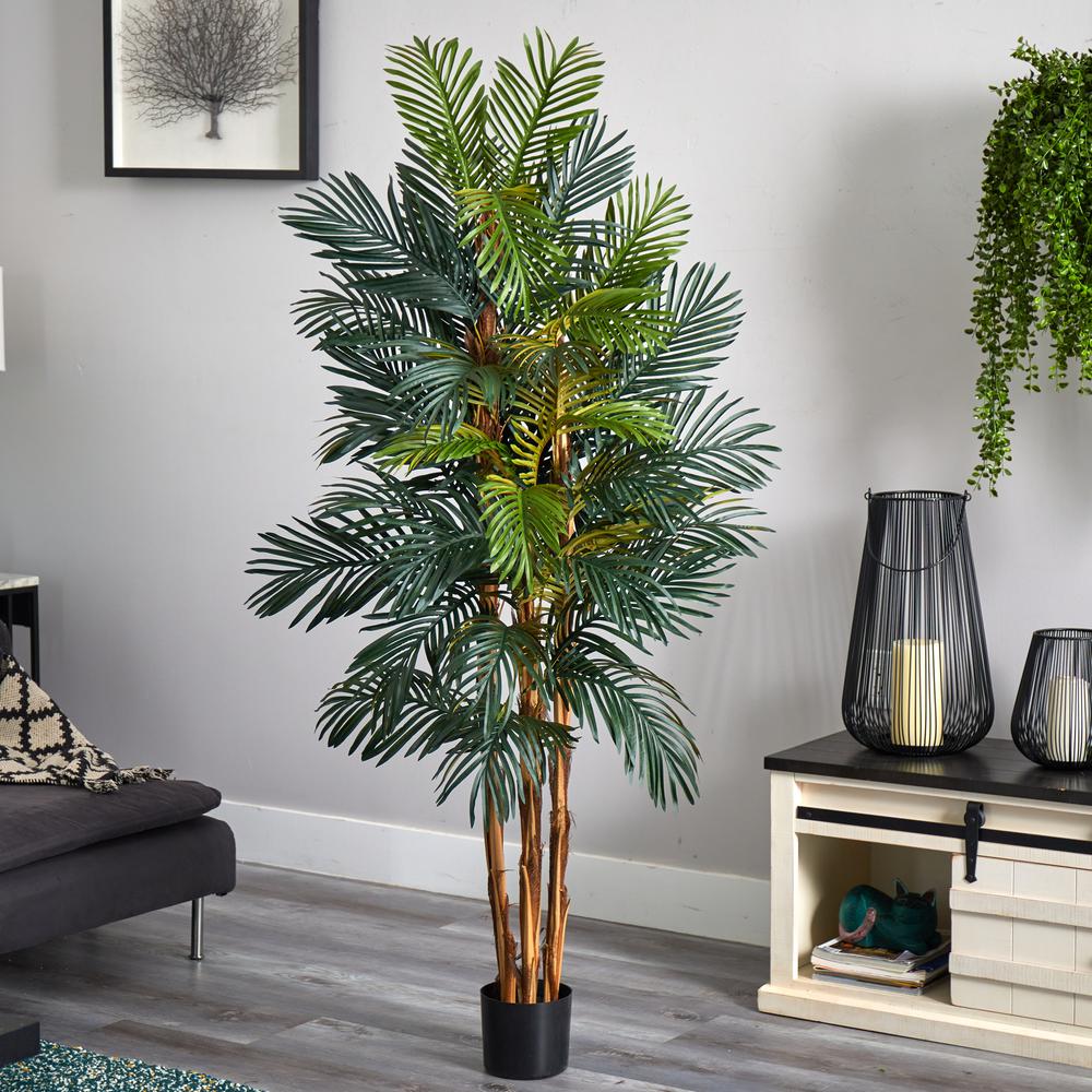 6ft. Robellini Palm Silk Tree
