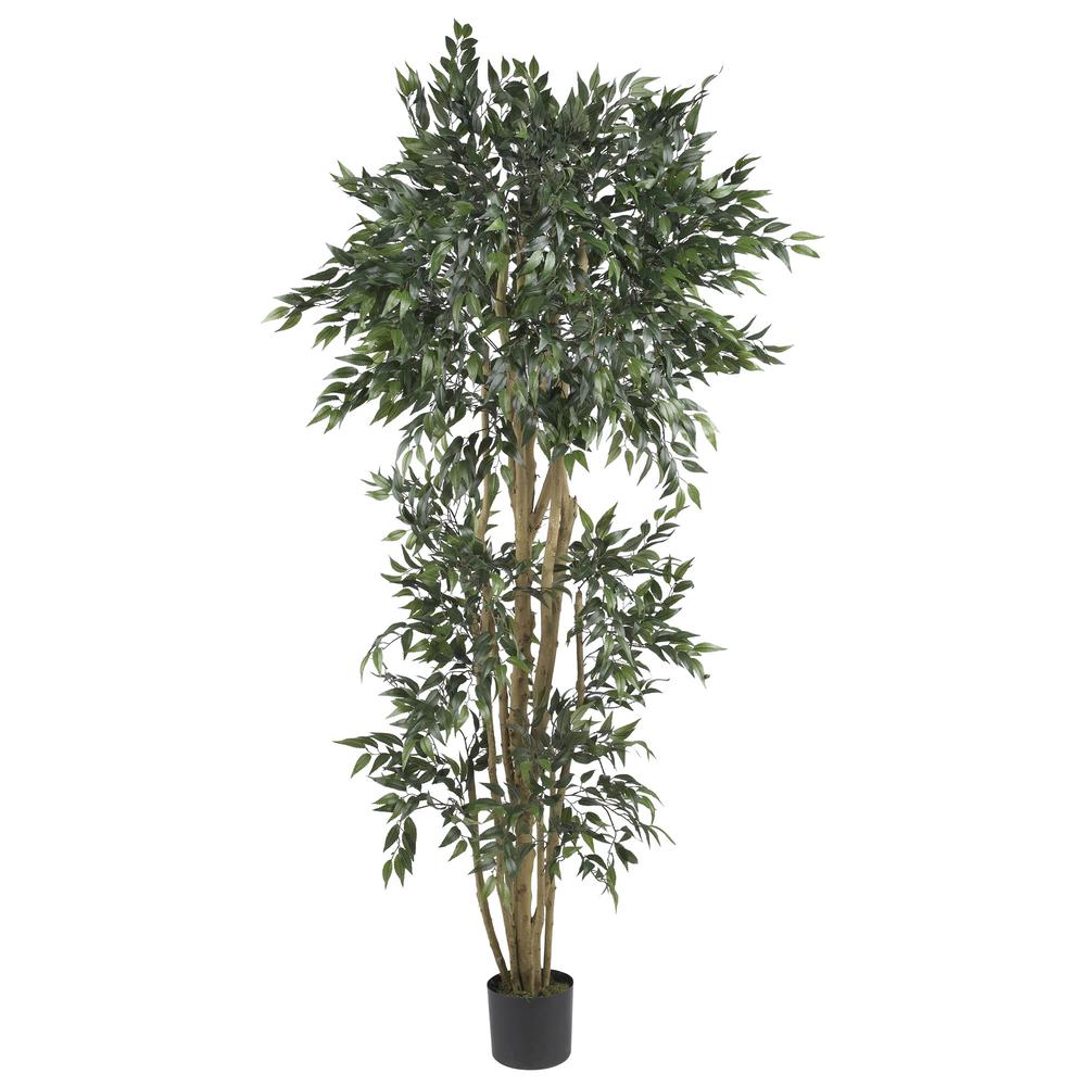 6ft. Green Ash Silk Tree