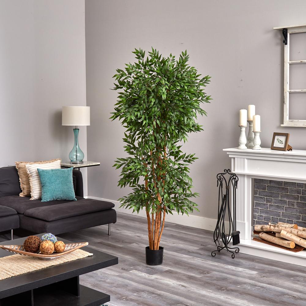 6ft. Green Ash Silk Tree