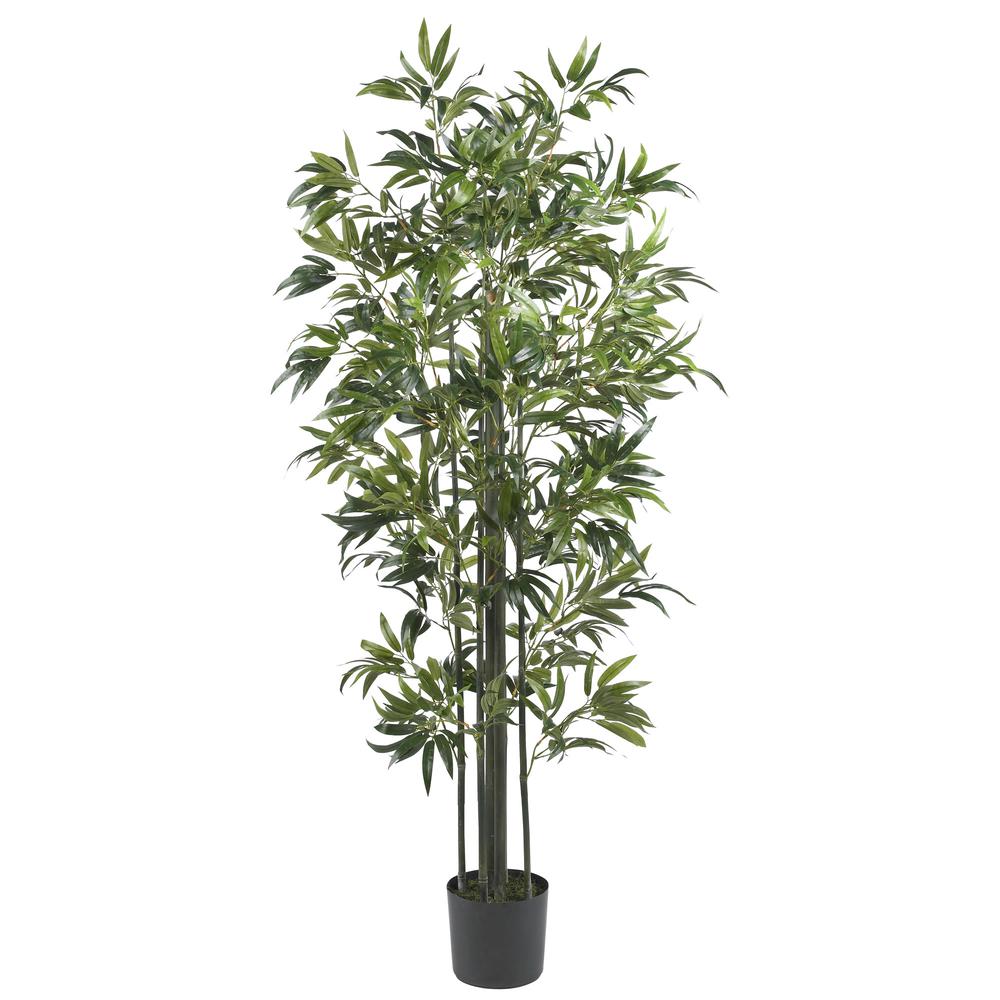 6ft. Bamboo Silk Tree (Green Trunks)