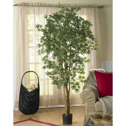 6ft. Japanese Maple Silk Tree