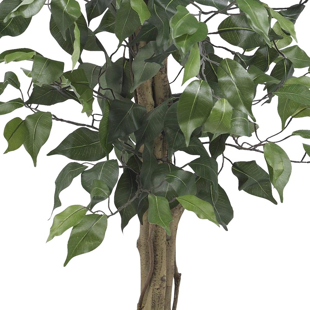 3ft. Ficus Silk Tree
