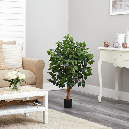 3ft. Ficus Silk Tree