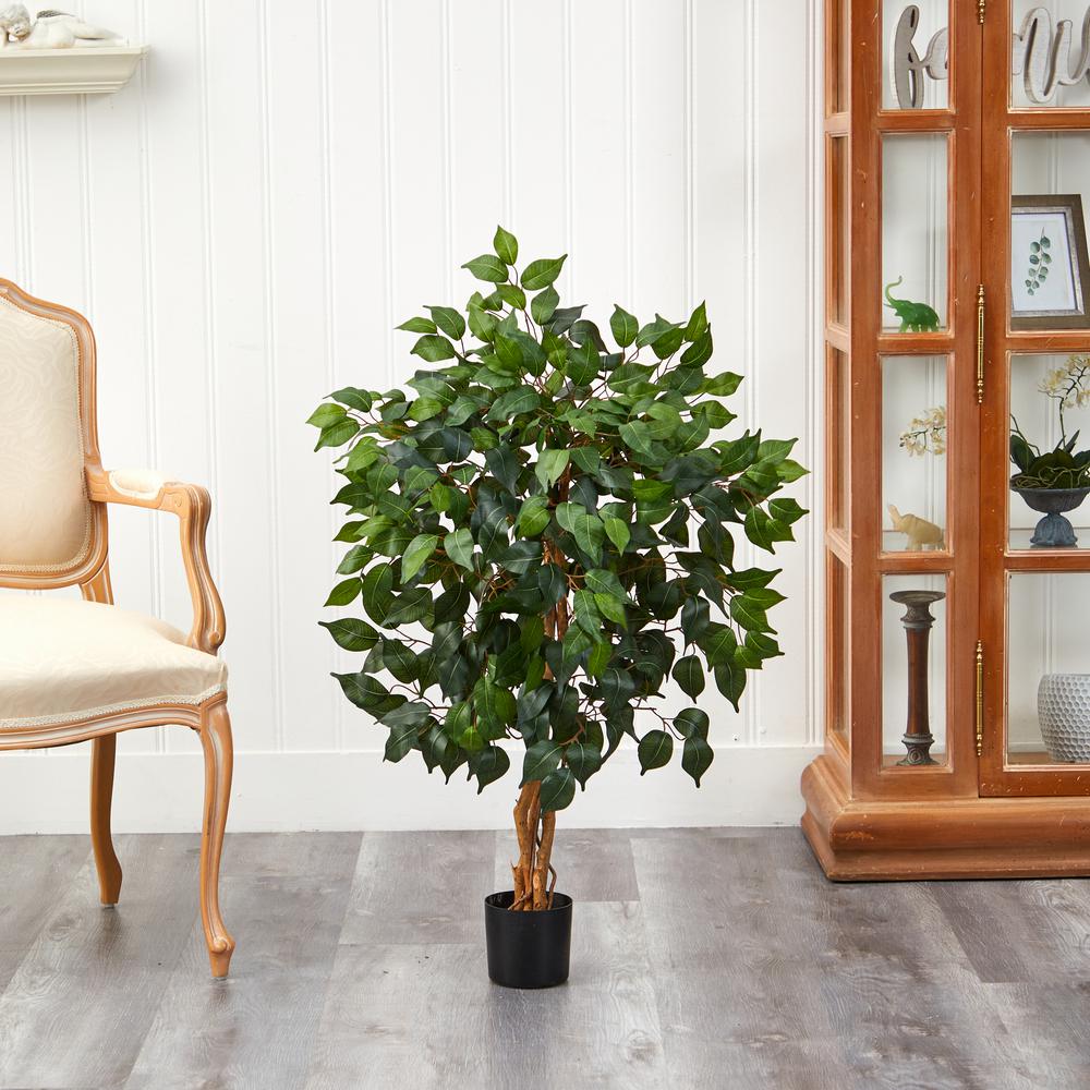 3ft. Ficus Silk Tree