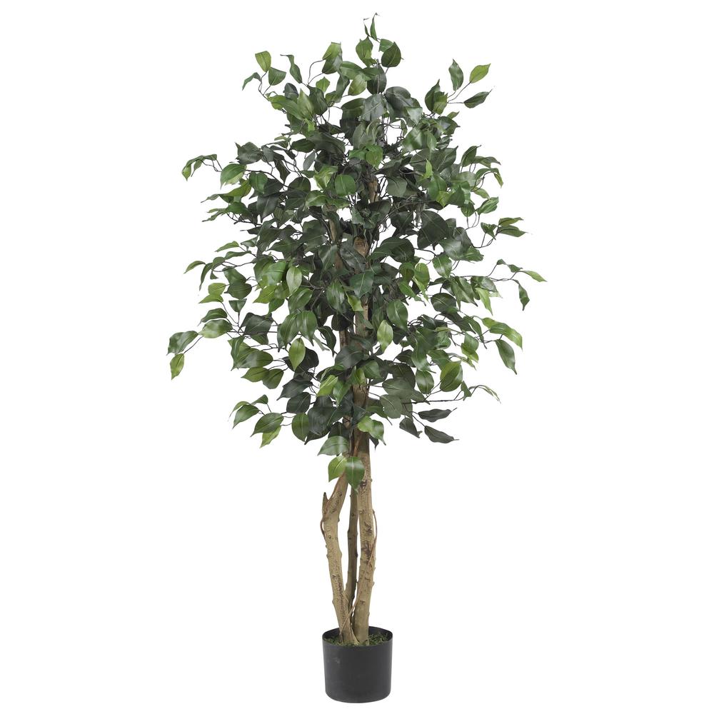 4ft. Ficus Silk Tree, Green