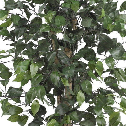 4ft. Ficus Silk Tree, Green