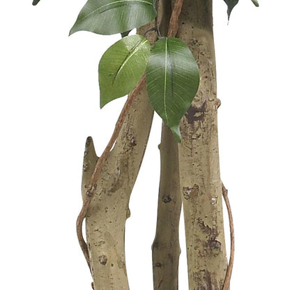 4ft. Ficus Silk Tree, Green