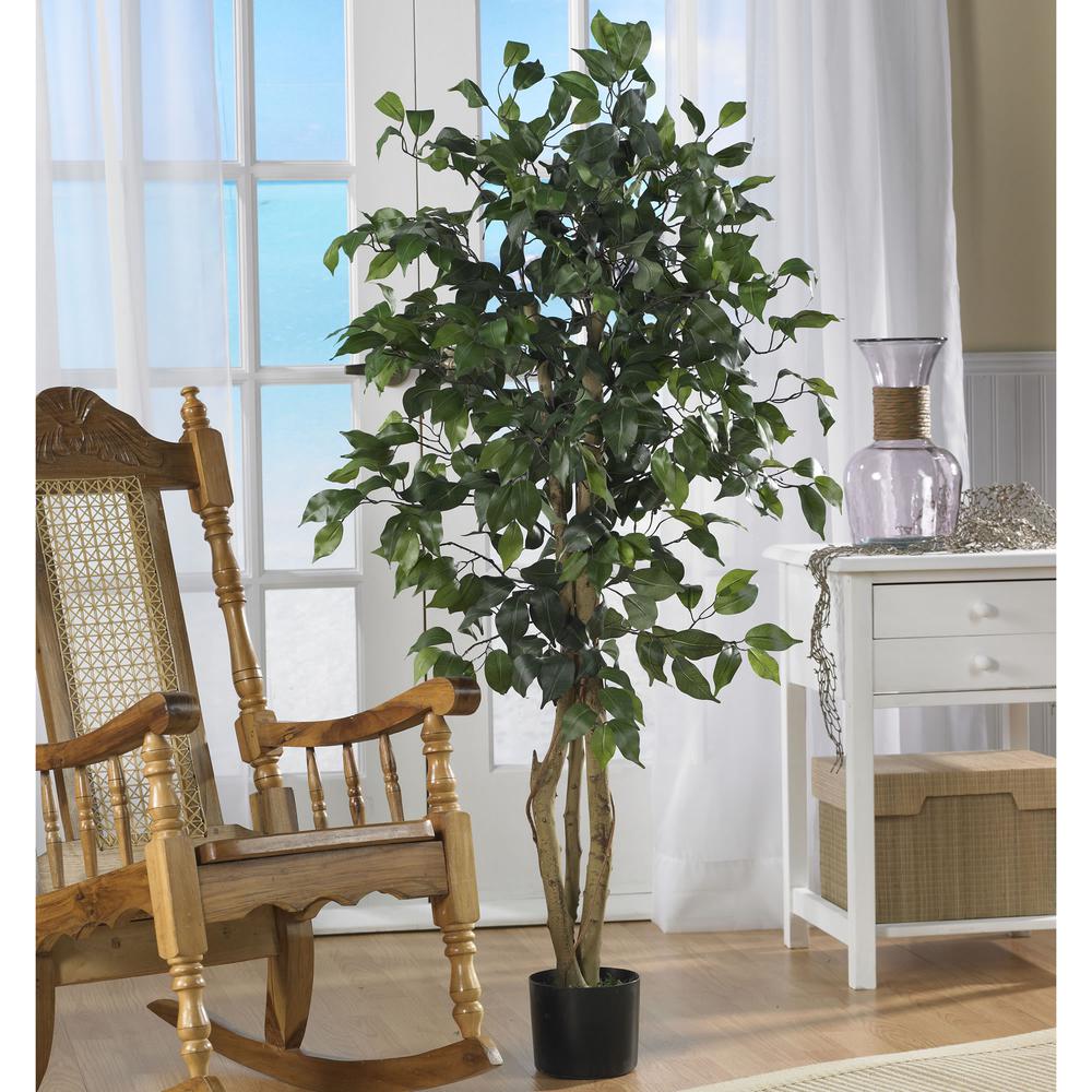 4ft. Ficus Silk Tree, Green