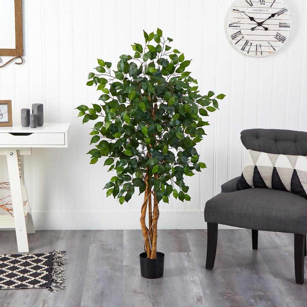 4ft. Ficus Silk Tree, Green