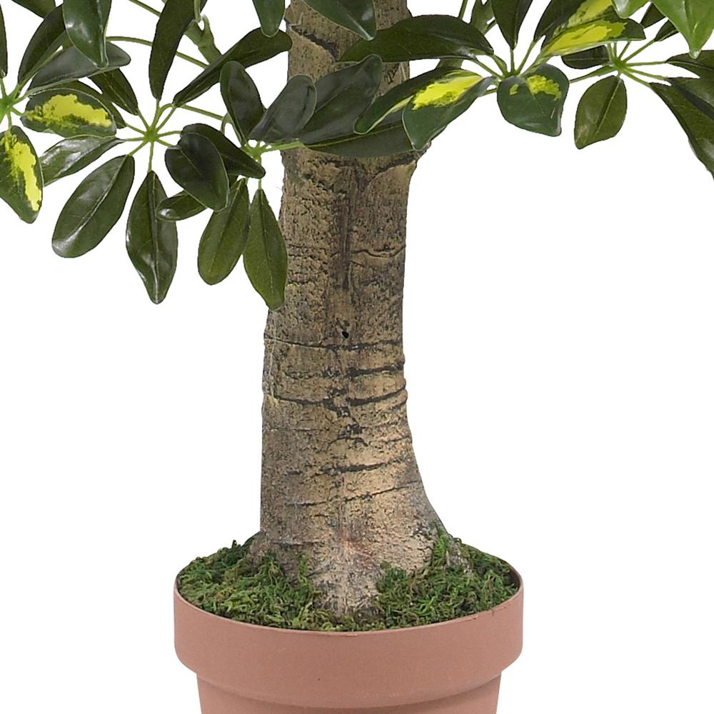 4ft. Schefflera Silk Tree (Real Touch)