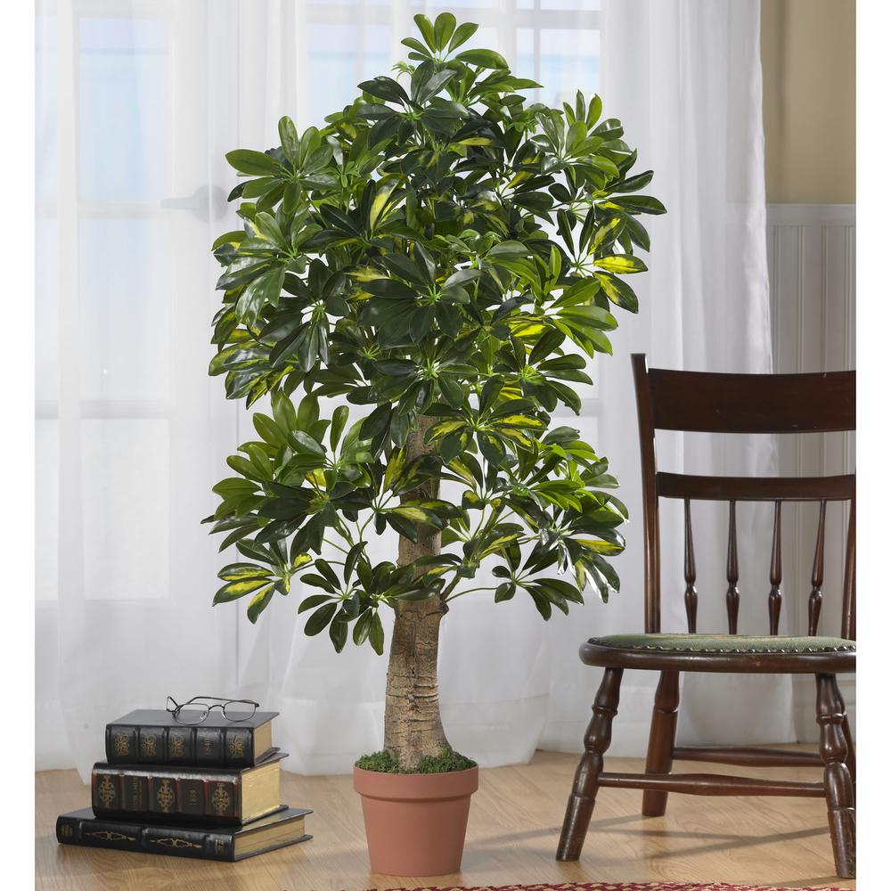 4ft. Schefflera Silk Tree (Real Touch)