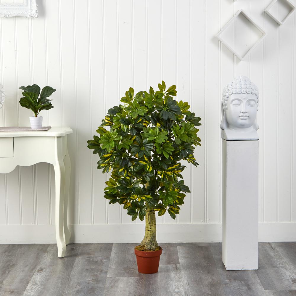 4ft. Schefflera Silk Tree (Real Touch)