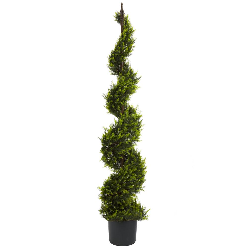 5ft. Cypress Spiral Tree