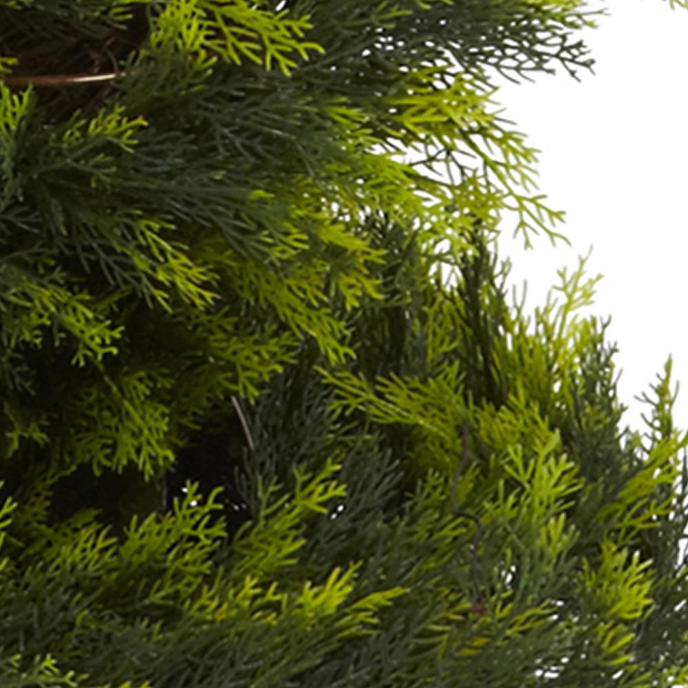 5ft. Cypress Spiral Tree