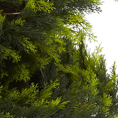 5ft. Cypress Spiral Tree