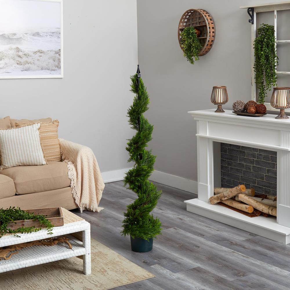 5ft. Cypress Spiral Tree