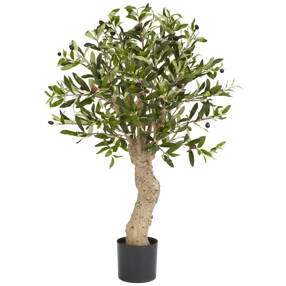 2.5ft. Olive Silk Tree