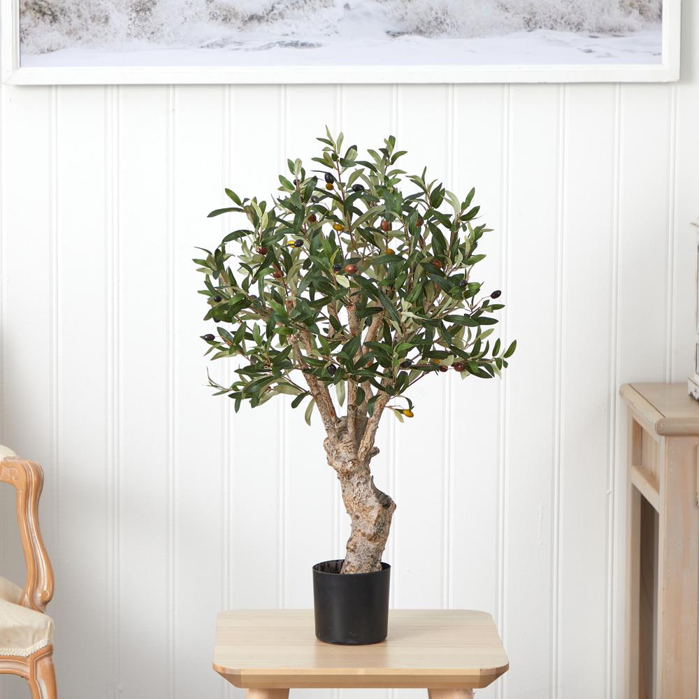 2.5ft. Olive Silk Tree