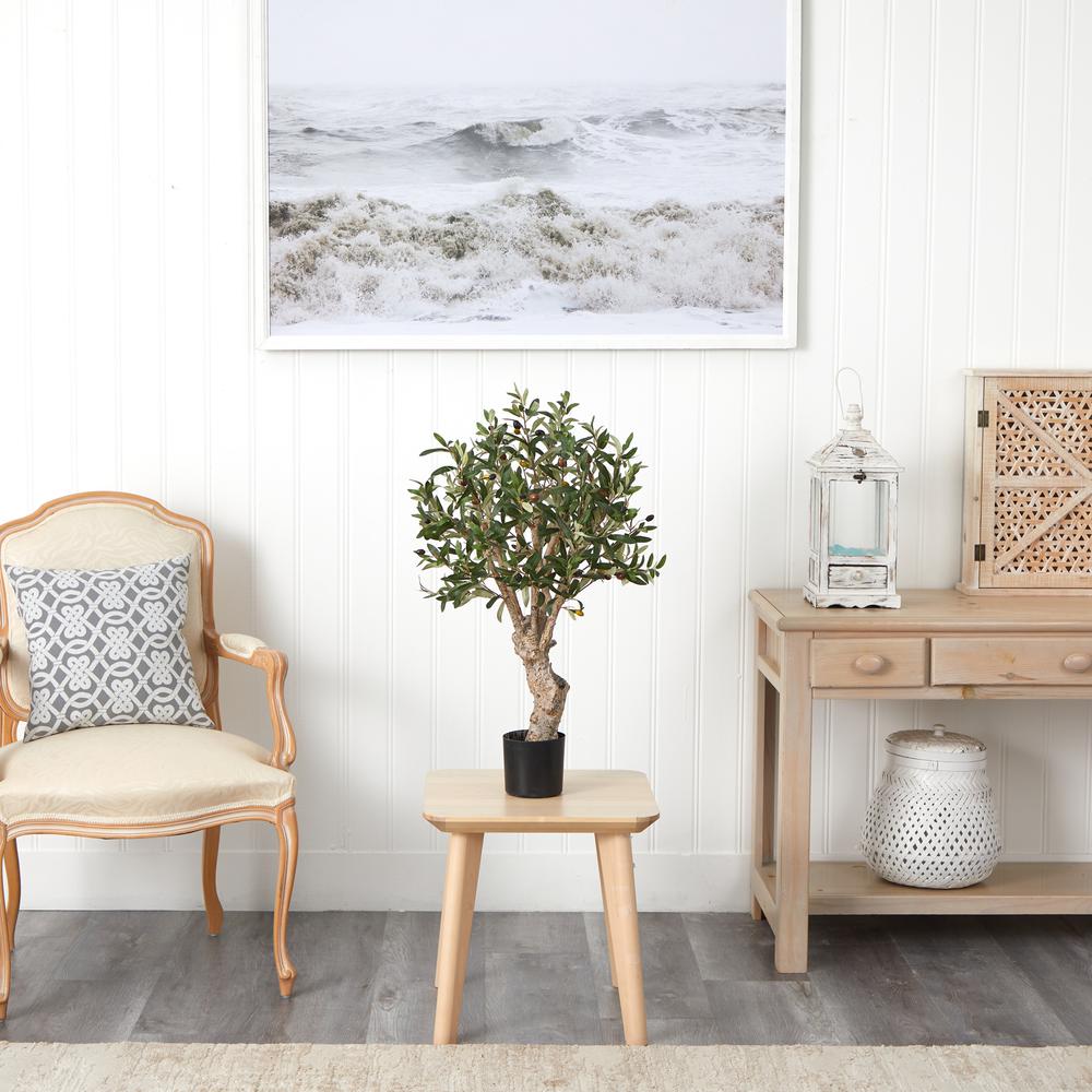 2.5ft. Olive Silk Tree