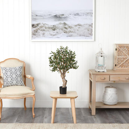 2.5ft. Olive Silk Tree