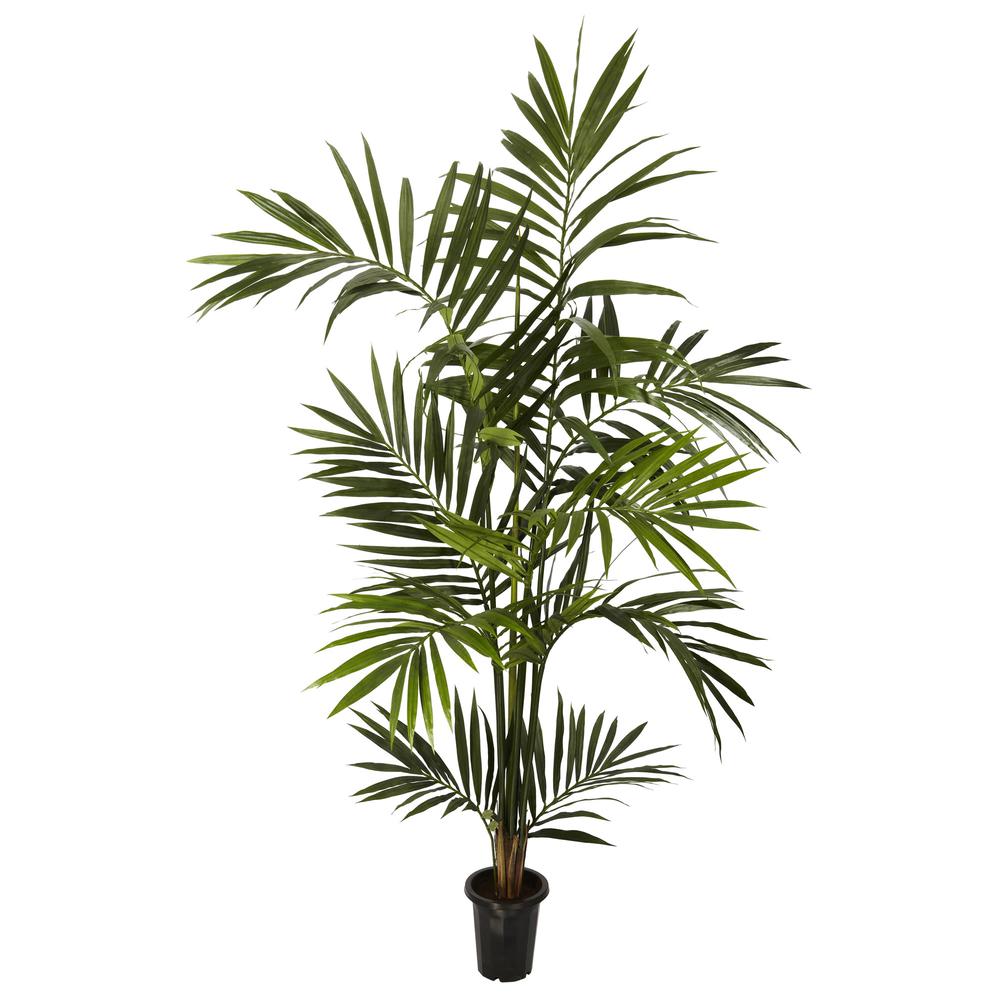 6ft. Kentia Palm Silk Tree, Green