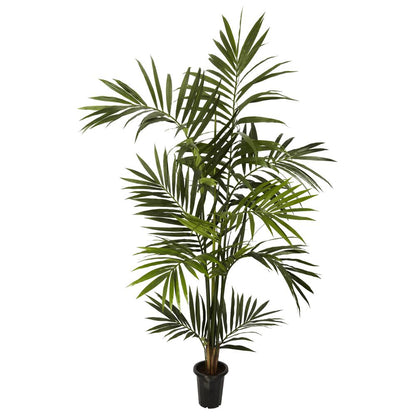 6ft. Kentia Palm Silk Tree, Green