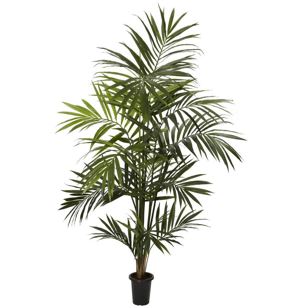7ft. Kentia Palm Silk Tree