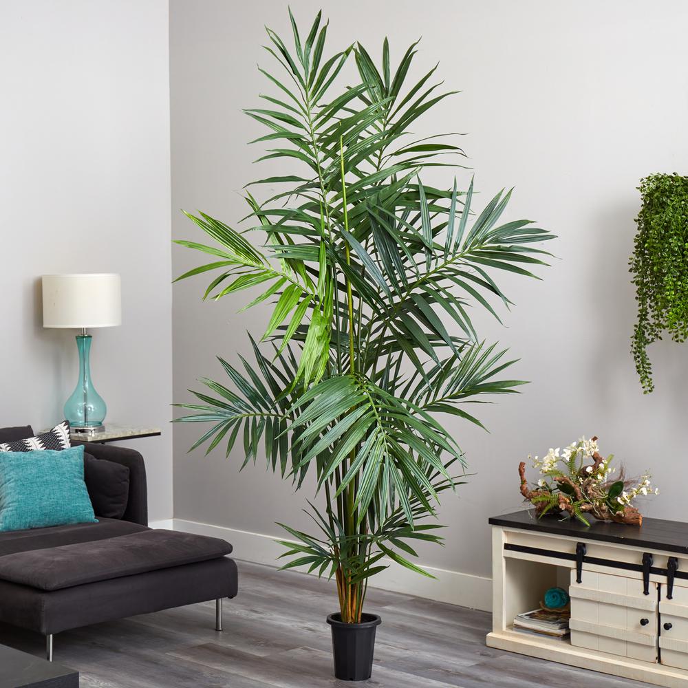 7ft. Kentia Palm Silk Tree