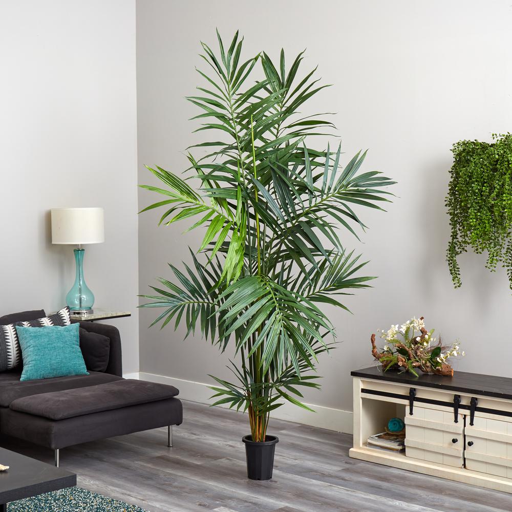 7ft. Kentia Palm Silk Tree