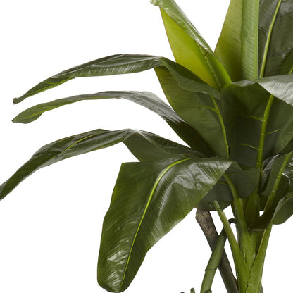 6ft. Banana Silk Tree (Real Touch)