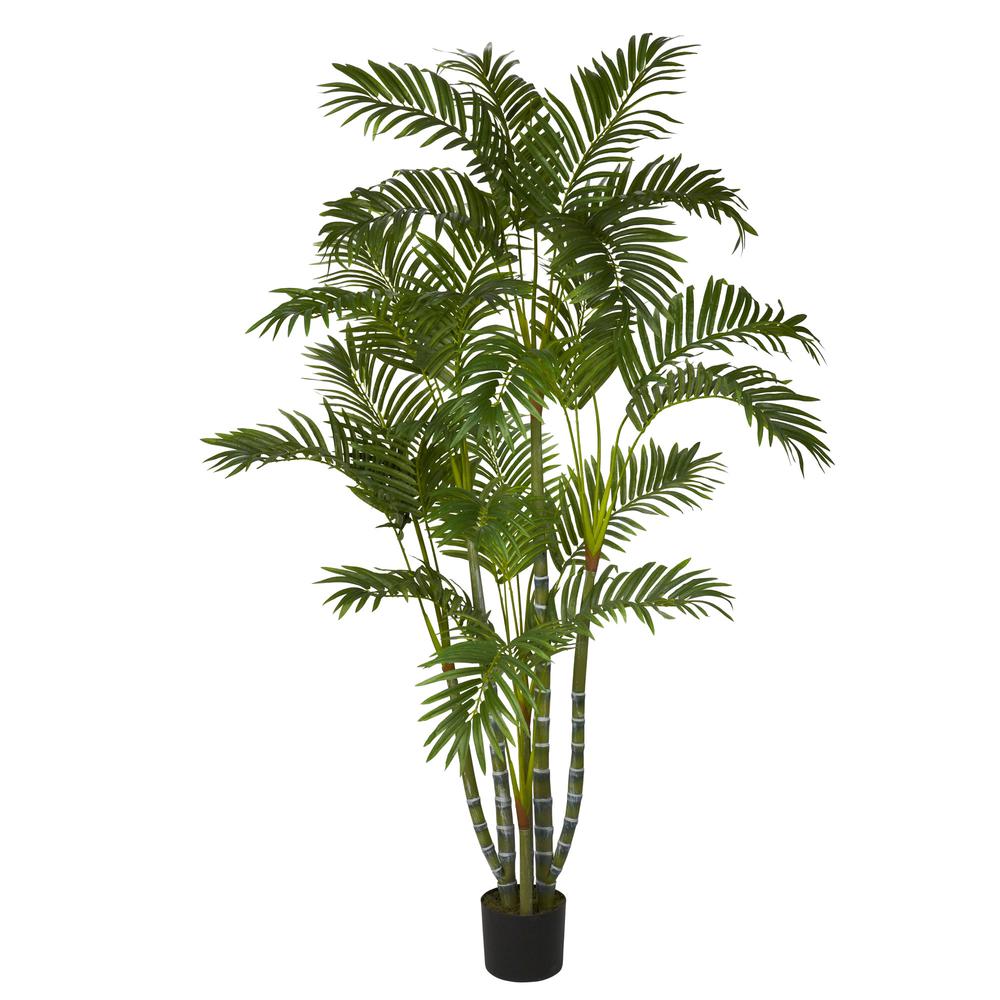 5ft. Areca Silk Tree