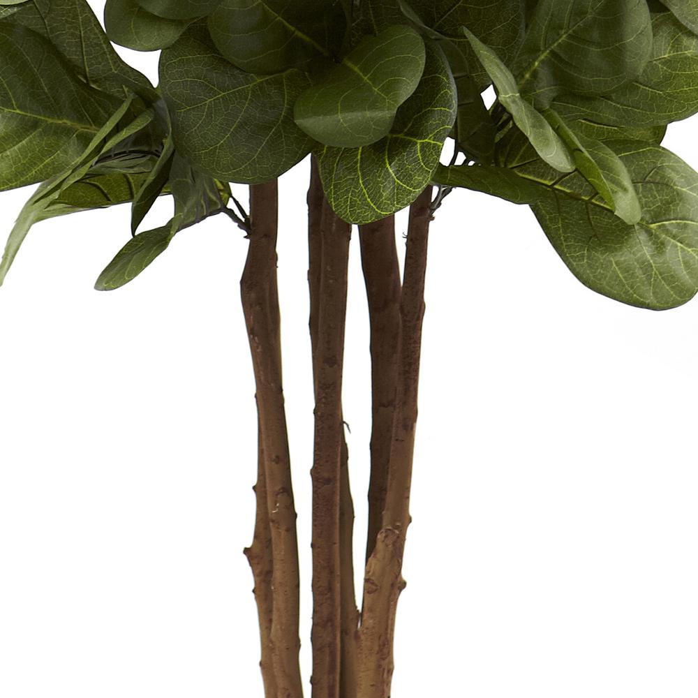 6ft. Fiddle Leaf Fig Tree